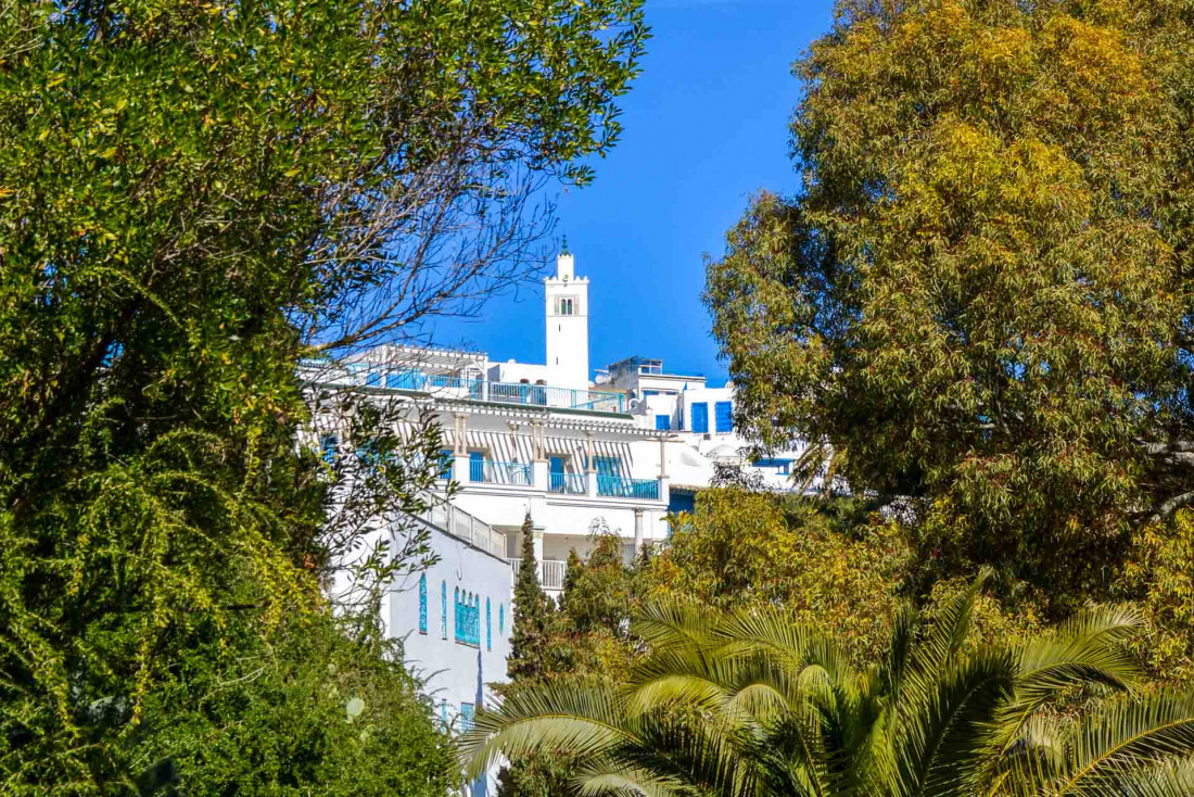 Sidi Bou Saïd, petit village blanc à 30 mn de Tunis © YONDER.fr|PG