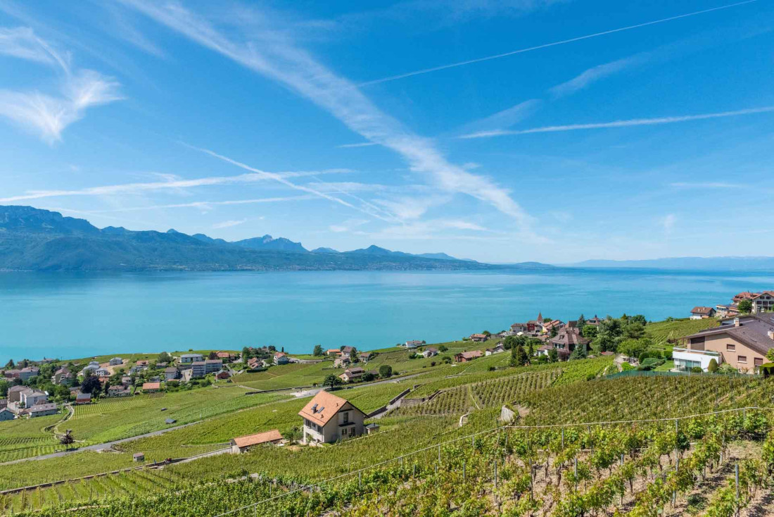 Les vignobles du Lavaux en dehors de Lausanne © Gabriel Garcia Marengo