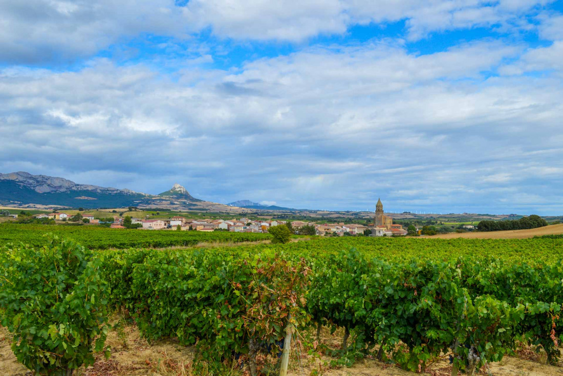 Paysage de la Rioja © Weston Mills