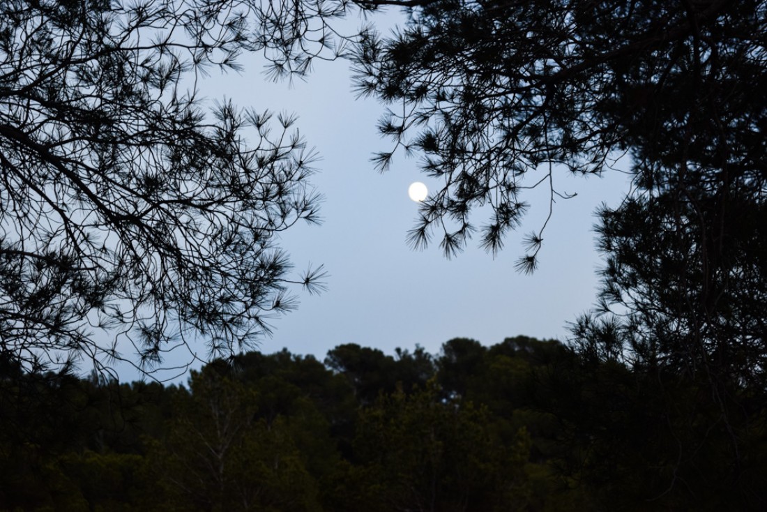 A la tombée de la nuit dans la zone protégée d’Es Amunts où se trouve Can Pujolet | © Yonder.fr