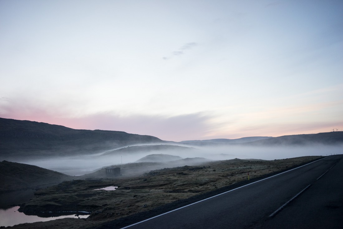 Brouillard au bord de la route.