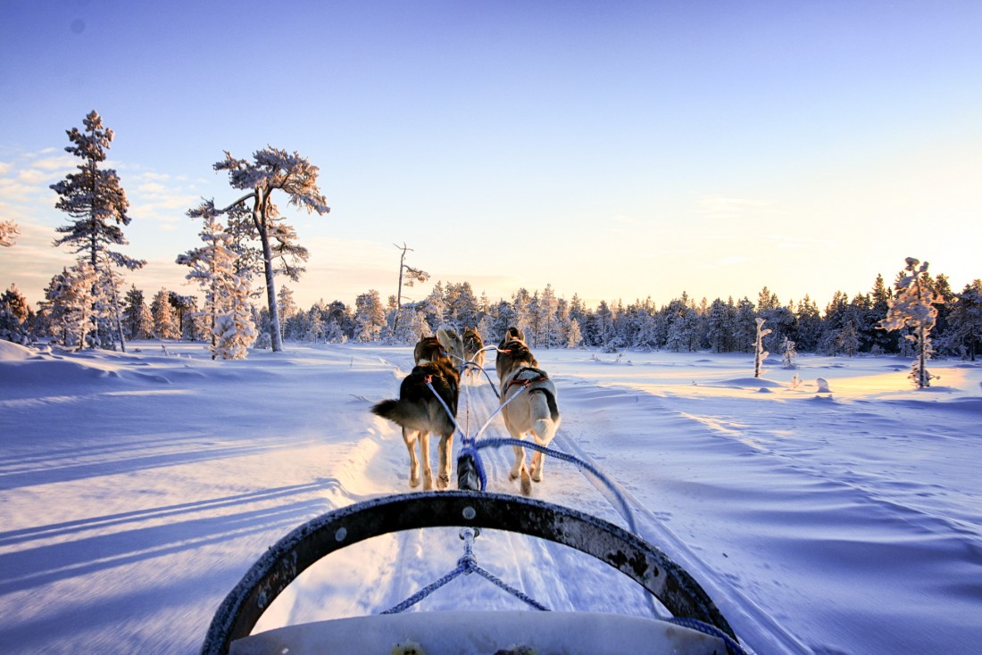 Traineau à chien avec Kota Husky © Thierry Chevillard