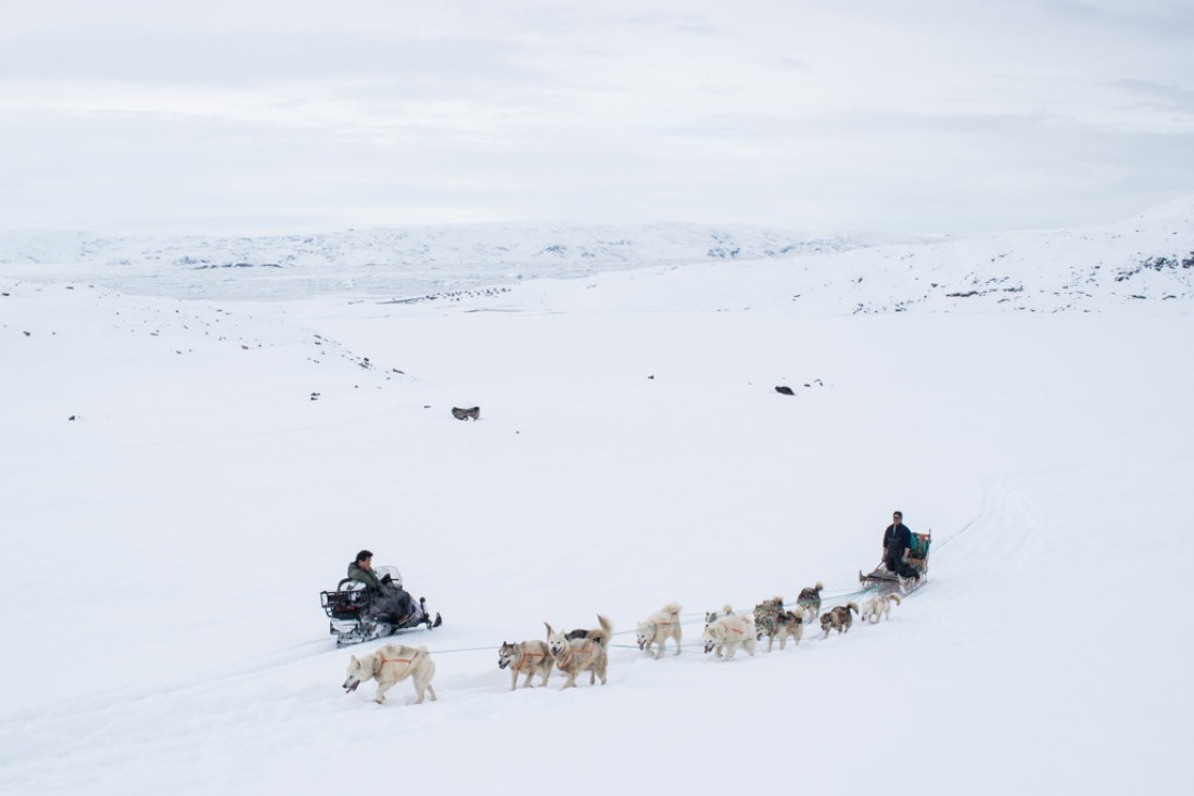 En redescendant vers Tiniteqilaaq nous croisons un traineau dont j'ai rencontré le conducteur une semaine plus tôt à la Red House.