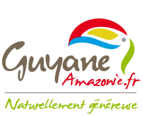 logo Guyane Amazonie
