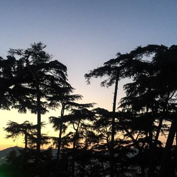 Coucher de soleil sur Barcelone depuis le Monasterio pendant le festival IR BCN | © Yonder.fr