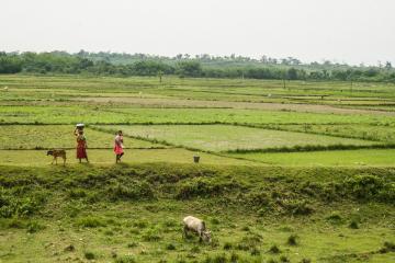 Sur la route de Darjeeling | © Marion Brun