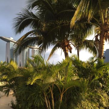 Vue sur Marina Bay Sands et végétation luxuriante à la piscine | © Yonder.fr