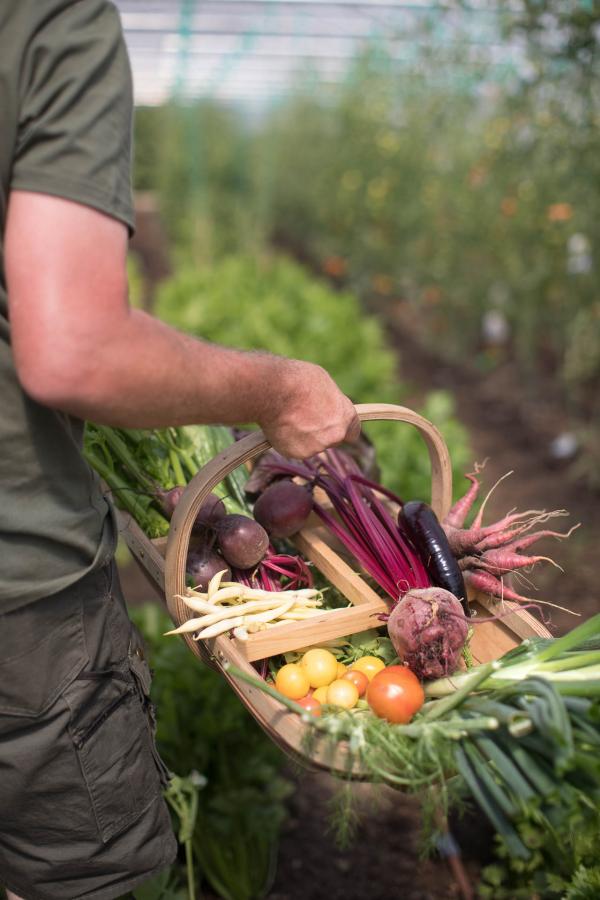 13 Tourné vers le luxe discret, le domaine cherche résolument à mettre en place un lien fort avec la terre. 