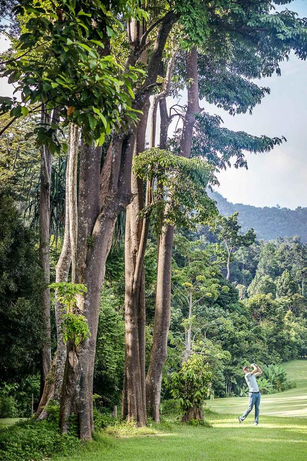 Le green fait honneur à la beauté du lieu, en remplaçant les typiques bunkers par des obstacles moins conventionnels, telle que la végétation tropicale ou des ruisseaux. 