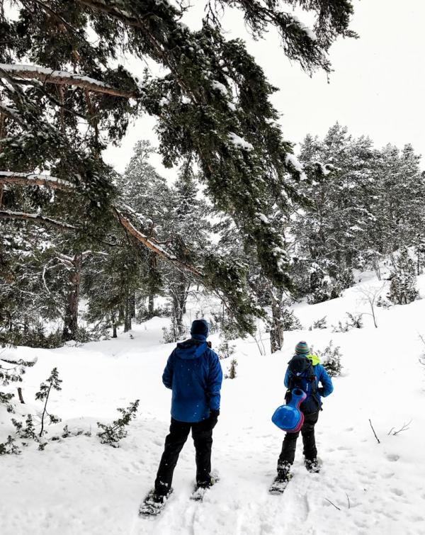 Excursion en raquettes sur les hauteurs d'Aurland © YONDER.fr