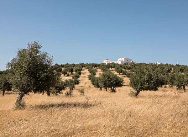 La vue panoramique porte sur la forêt de la Serra d’Ossa et sur les magnifiques châteaux d’Evoramonte et d’Estremoz.