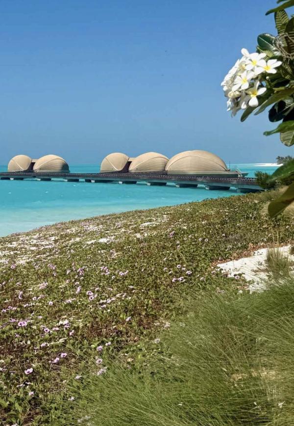 Nujuma, a Ritz-Carlton © Emmanuel Laveran Nujuma, a Ritz-Carlton © Emmanuel Laveran