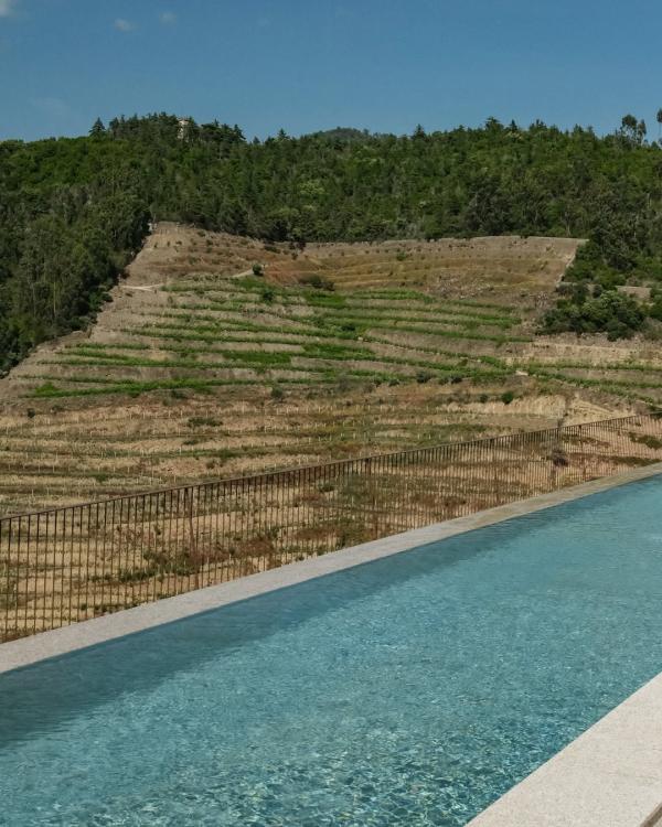 La piscine de l’hôtel dans le Douro Quinta São José do Barrilário © thewineceo La piscine de l'hôtel dans le Douro Quinta São José do Barrilário © thewineceo