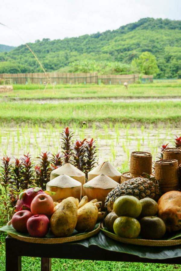 Cours de cuisine laotienne au milieu des rizières © YONDER.fr