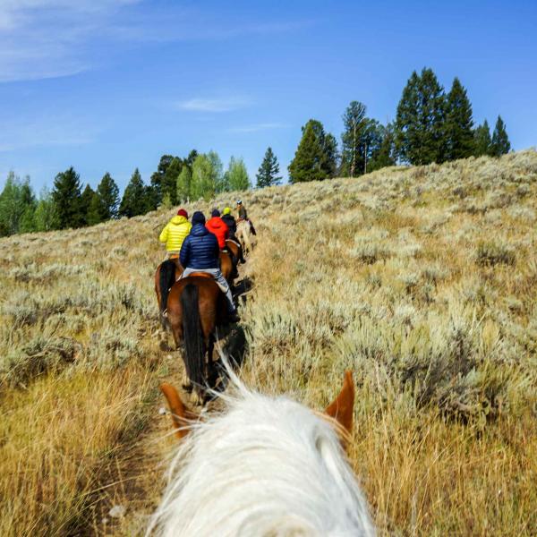 Promenade à cheval au départ du Jackson Lake Lodge © YONDER.fr
