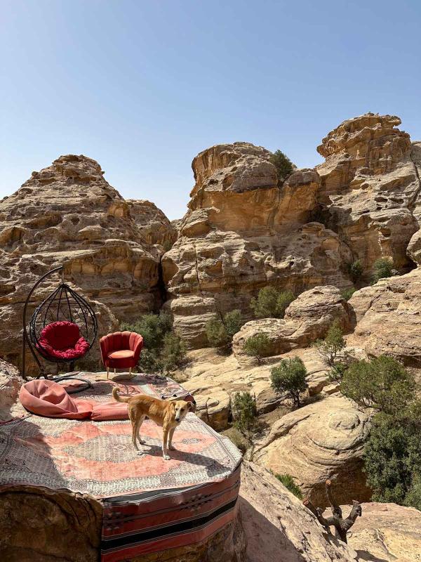 Little Petra © Pauline Duvieu