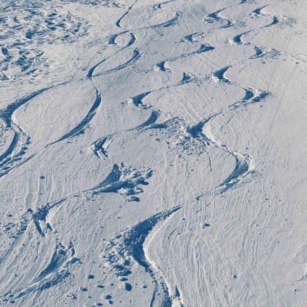 Des moniteurs de ski peuvent accompagner les skieurs. © Pierre Gunther