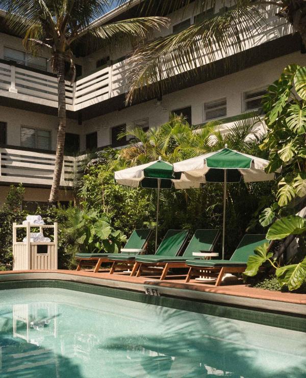 Perroquet Hotel, un nouvel hotel en Floride © DR Perroquet Hotel, un nouvel hotel en Floride © DR