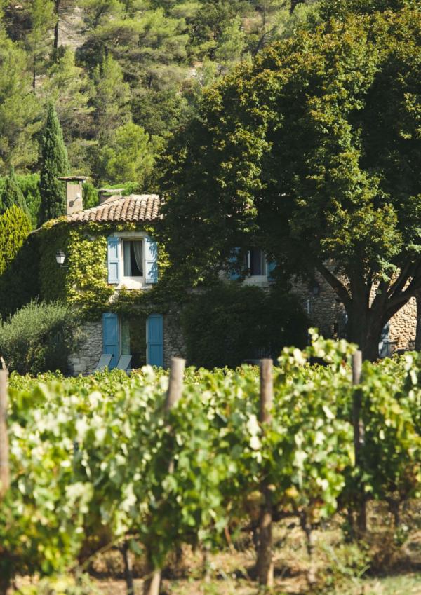 Un des plus beaux hôtels du Luberon pour vivre la campagne chic © La Bastide de Marie