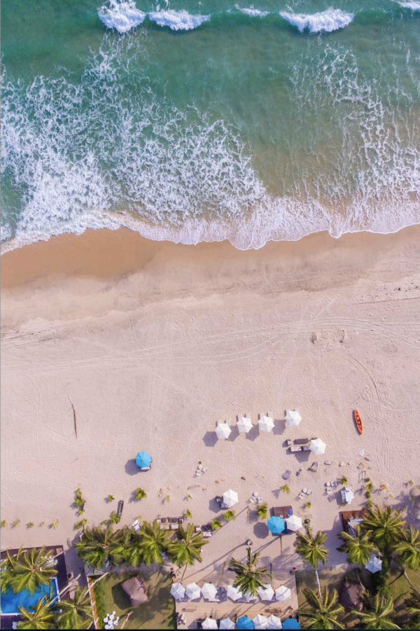 La plage de Maison d'Akoula, entre sable blanc et cocotier © La Maison d'Akoula 