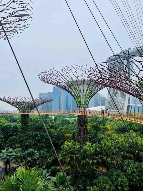 Gardens by the Bay : des jardins futuristes emblématiques de Singapour © YONDER Pierre Gautrand
