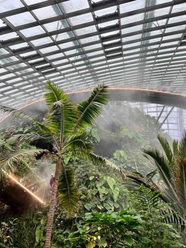 Gardens by the Bay : des jardins futuristes emblématiques de Singapour © YONDER Pierre Gautrand