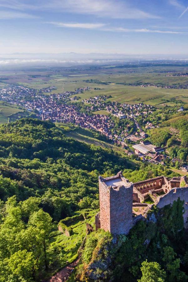 Ribeauvillé et le château Saint-Ulrich © Tristan Vuano