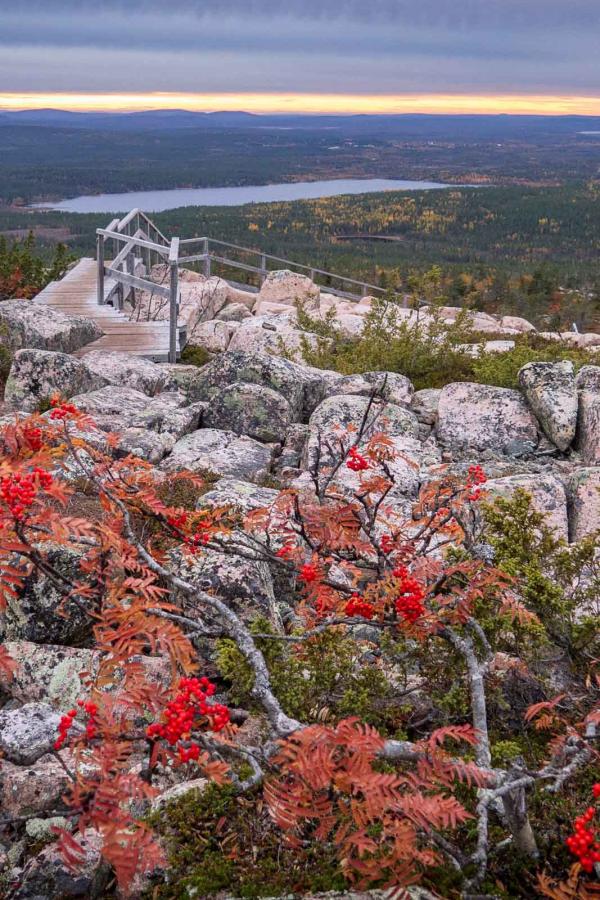 Le Parc national de Salla © Anna Pakkanen