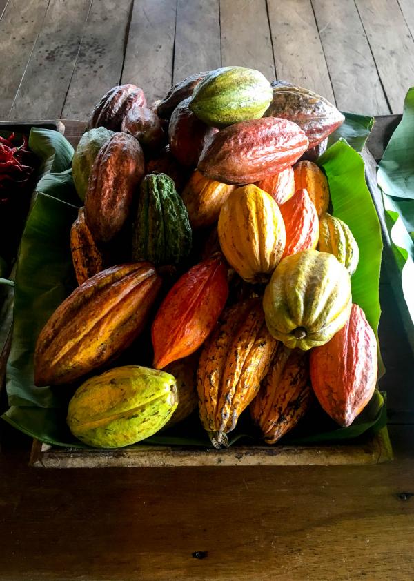 Roça Diogo Vaz, Sao Tomé © Alicia Dorey