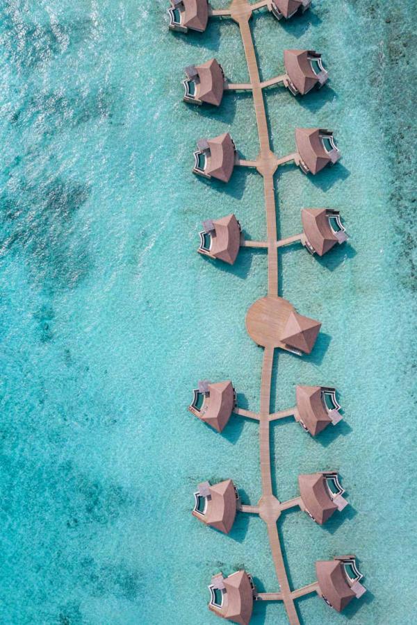 Séjourner dans une villa sur pilotis avec piscine à l'Intercontinental Maldives Maamunagau Resort