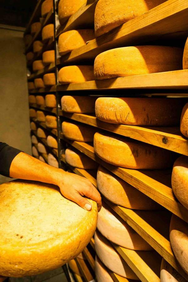 Vacherie de Chastillon Isola © Bounce Production _ OT NCA