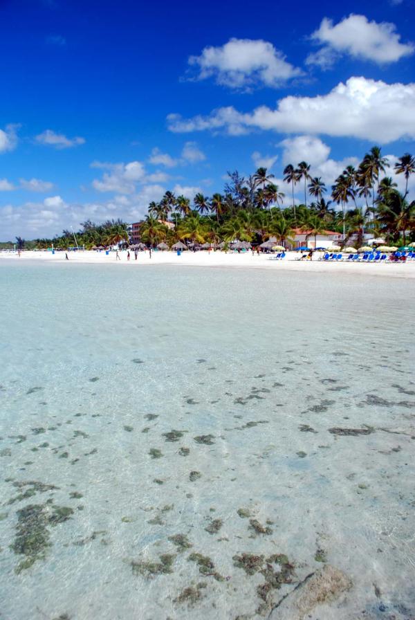 L'une des plus belles plages en République dominicaine : Boca Chica © Adobestock