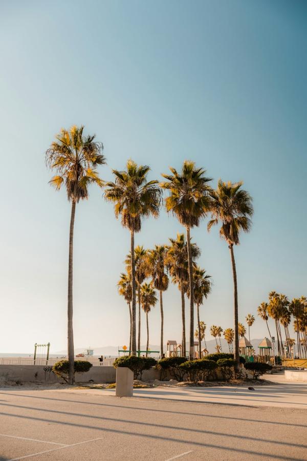 Venice Beach, Los Angeles, départ de la route 66 © Joao de Matos via Unsplash Venice Beach, Los Angeles, départ de la route 66 © Joao de Matos via Unsplash