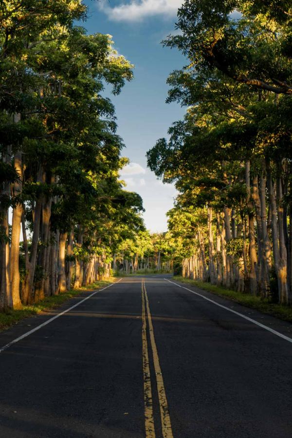 Road trip à Taiwan