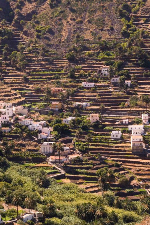 La Gomera © AdobeStock Haitaucher