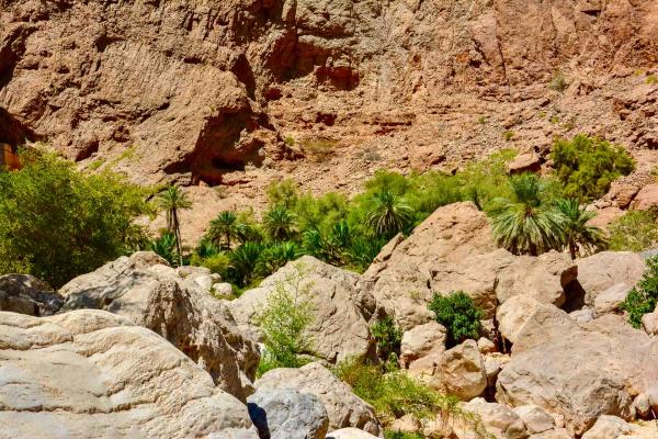 Palmiers et rochers du Wadi Shab. © Emmanuel Laveran. 