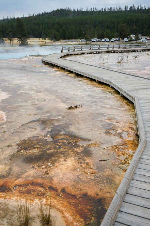 Upper Geyser Basin © YONDER.fr