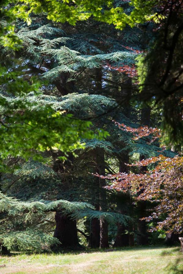 Parc Calouste © Sandrine Boyer Engel 