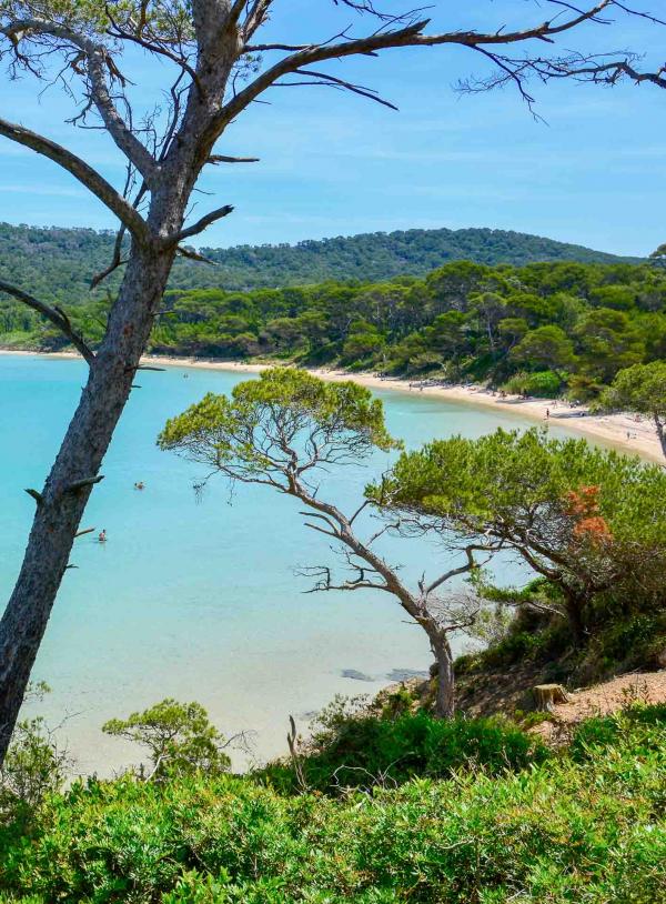 La plage Notre Dame sur l'île de Porquerolles © Emmanuel Laveran