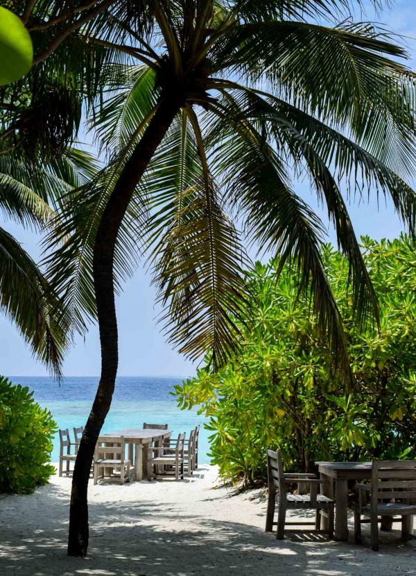 Palmiers, ciel bleu, eau turquoise : le décor idyllique, partout sur l'île de Soneva Fushi © YONDER.fr