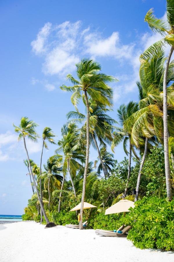 Décor de rêve sur la plage de l'île © Yonder.fr