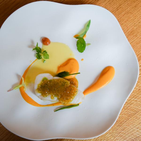 Cabillaud, tapioca, carotte, orange sanguine © Yonder.fr