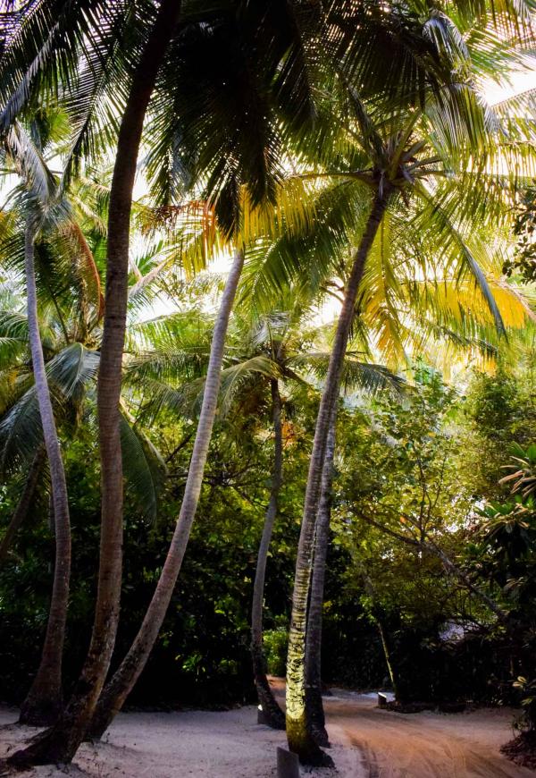 Lumière douce alors que le soleil se couche sur Soneva Fushi © YONDER.fr