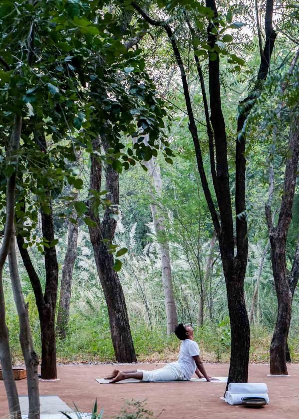 Séance de yoga au milieu des arbres © YONDER.fr