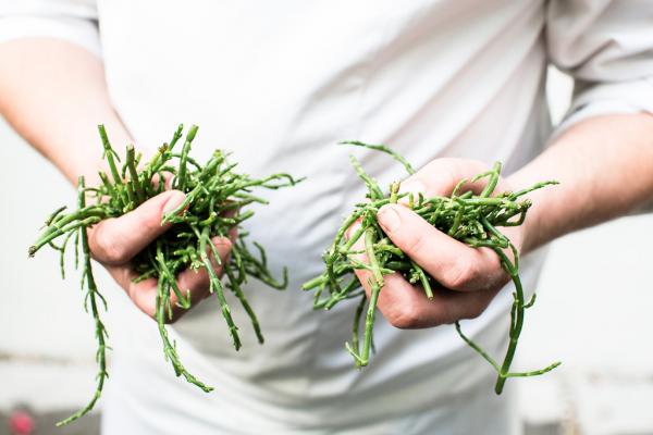 Seppe Nobels fait également pousser des herbes aromatiques sur le toit du restaurant/concept-store © Graanmarkt 13