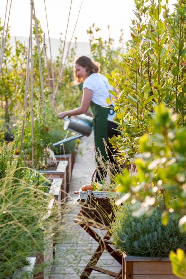 Le potager du Brach © Guillaume de Laubier