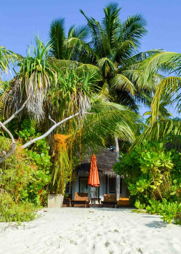 Chaque villa surest entourée d’une épaisse végétation © Pierre Gunther