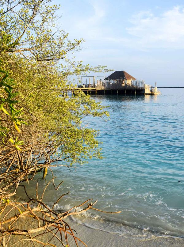 Le Bar(A) Bara, posé sur l'eau, vu depuis la plage © YONDER.fr