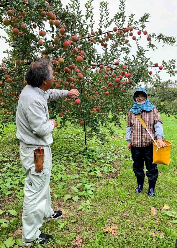 Les propriétaires sont aux petits soins avec les familles qui viennent cueillir des pommes sur leur terrain. 