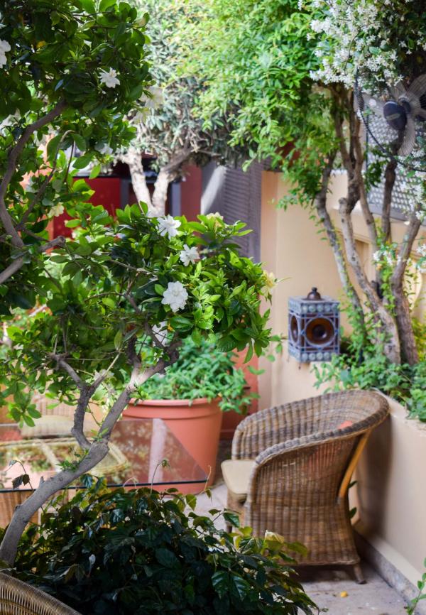 Sur le toit de l'hôtel, une charmante terrasse où il fait bon petit-déjeuner © YONDER.fr